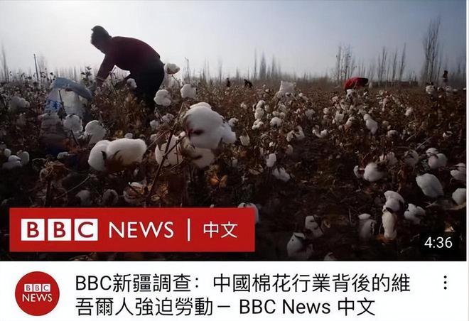 风向彻底变了！首批来华免签的外国人回国后开始茶不思饭不想(图7)